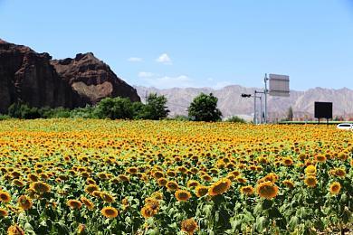 国外评论家称《黑神话》PC版有性能问题 还有卡顿现象